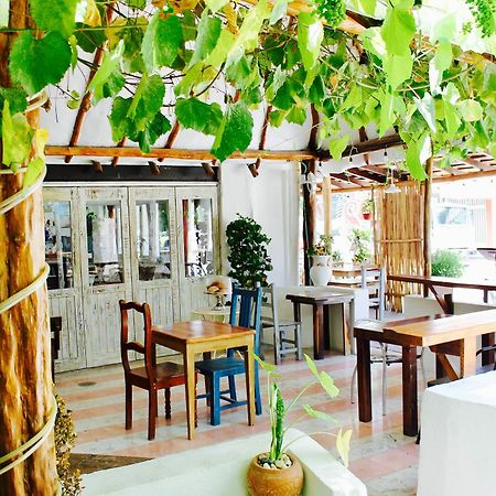 Posada Amor Hotel Boutique 莫雷洛斯港 外观 照片