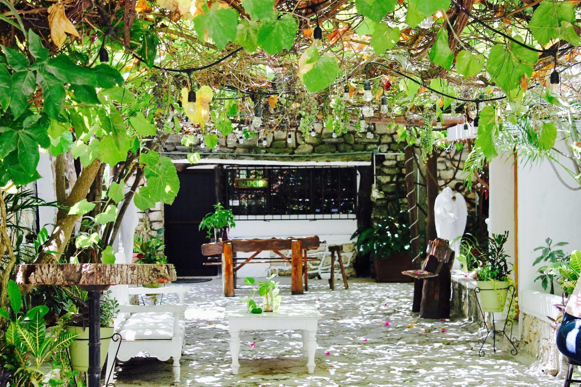 Posada Amor Hotel Boutique 莫雷洛斯港 外观 照片