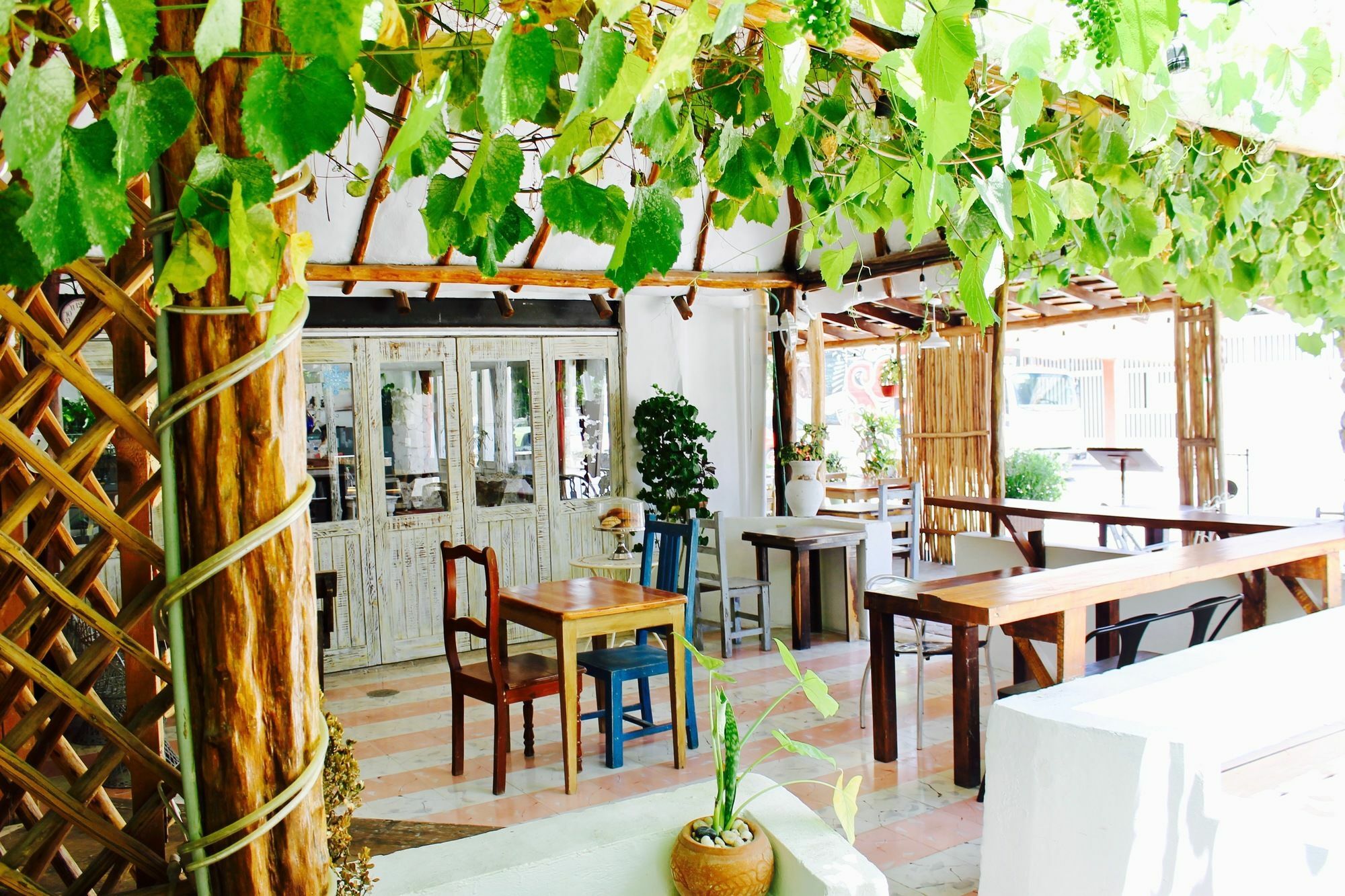 Posada Amor Hotel Boutique 莫雷洛斯港 外观 照片
