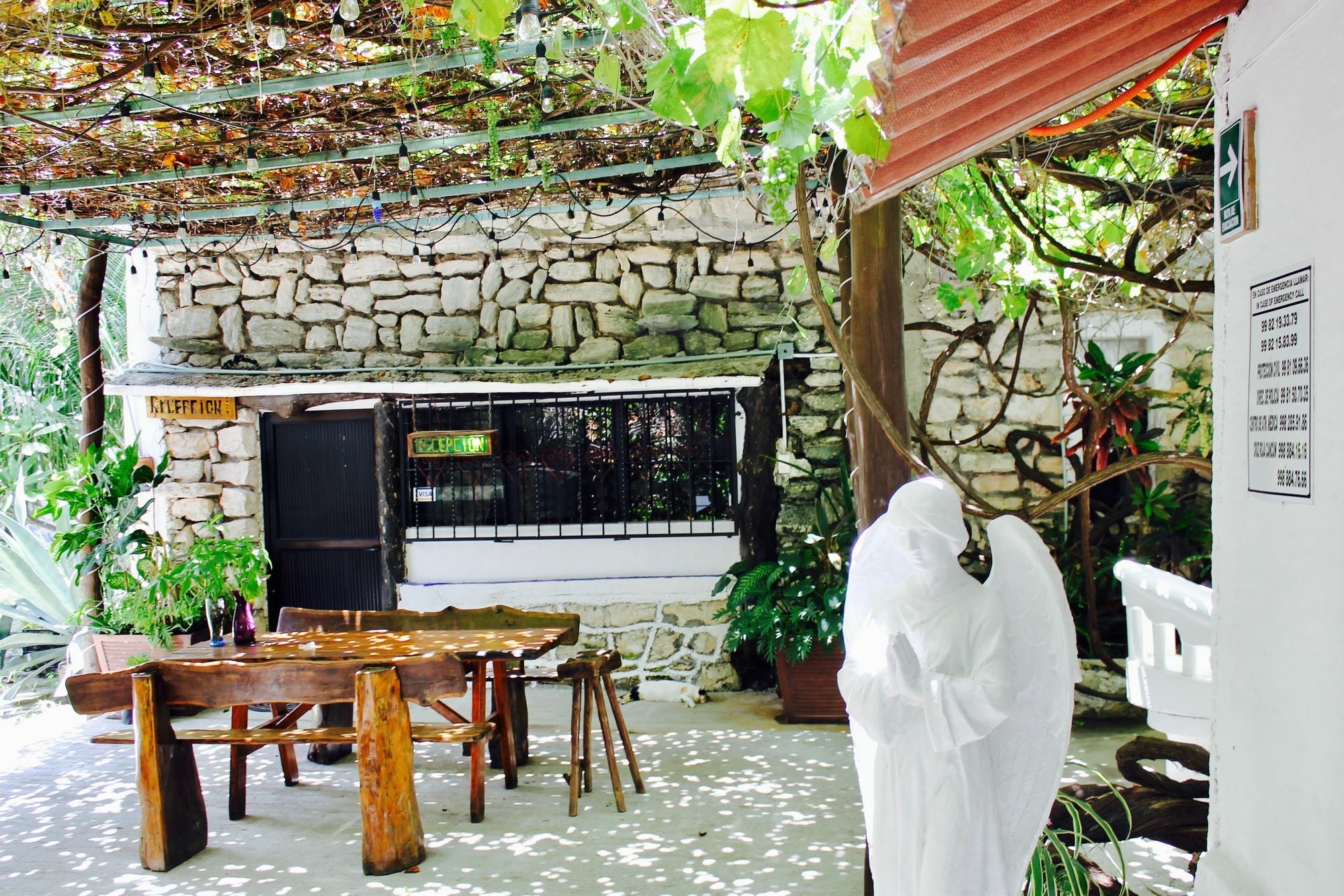 Posada Amor Hotel Boutique 莫雷洛斯港 外观 照片