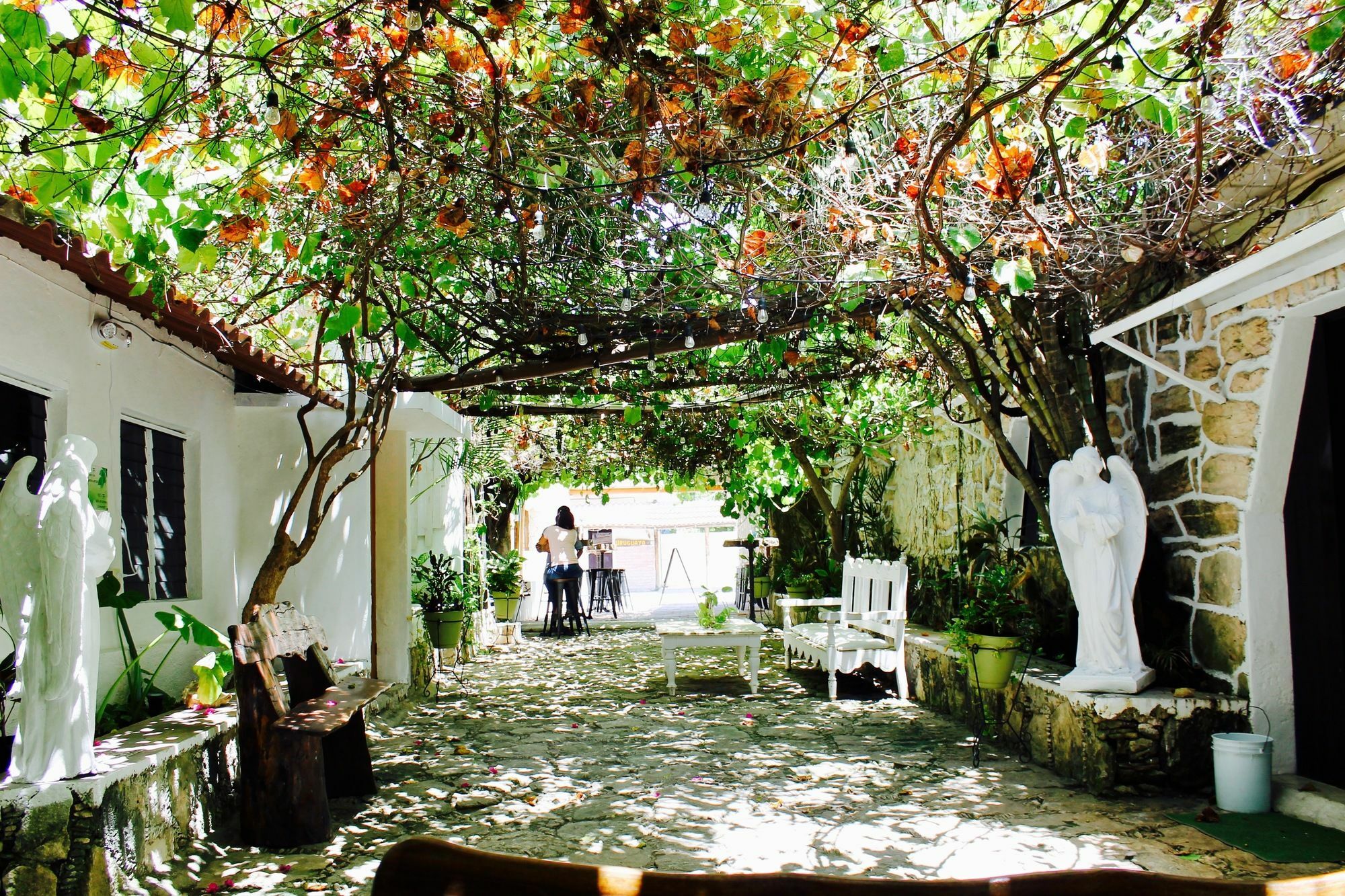 Posada Amor Hotel Boutique 莫雷洛斯港 外观 照片